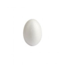 Styrofoam egg