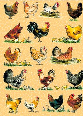 Decopatch sheet 559