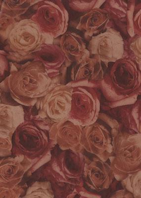 Decopatch-Blatt 572