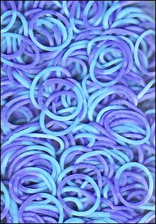 BAND-IT loom elastics duo colors