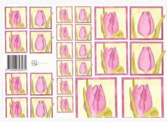 Marjoleine Tulpen lila Schneidebogen