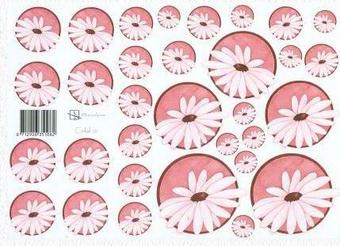Schneidebogen Marjoleine Kreise Gänseblümchen rosa