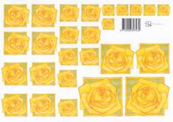 Marjoleine rose gelb Schneidebogen