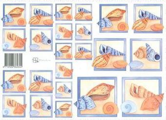 Marjoleine Muscheln Schneideblatt