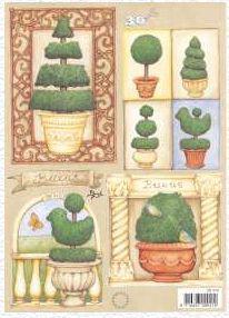 Boxwood cutting sheet