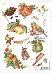 Bird and fruit cutting sheet