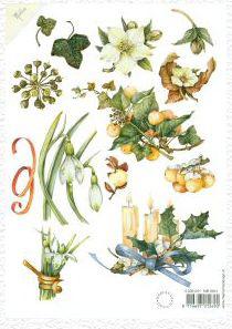 Snowdrop cutting sheet