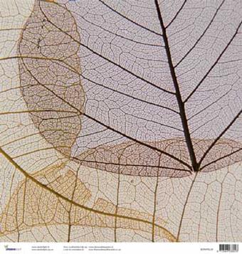 Scrapbook leaf vein