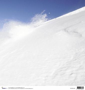 Scrapbook skier