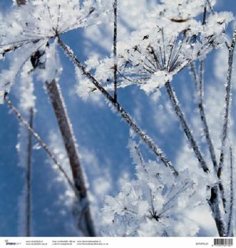 Scrap sheet of ice
