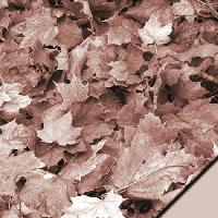 Scrapbooking sheet autumn leaf brown