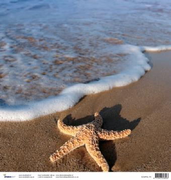 Scrapbook beach starfish