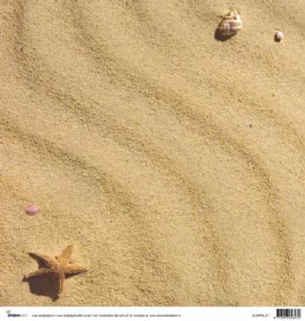 Scrapbook beach shells and starfish