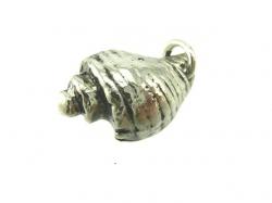 Charm-Muschel 1
