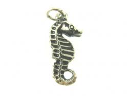 Charm Seepferdchen