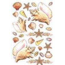 Rub on peach seashells transparant