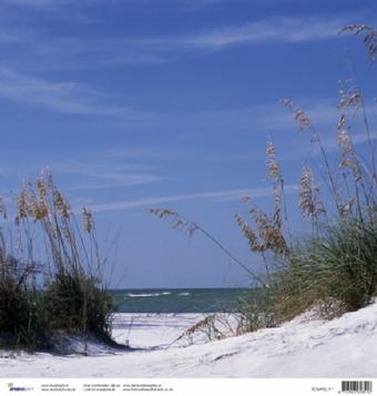 Scrapvel strandduinen