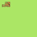 SiZo cardstock Green